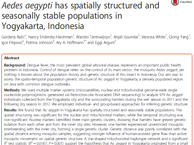  Aedes aegypti has spatially structured and seasonally stable populations in Yogyakarta, Indonesia