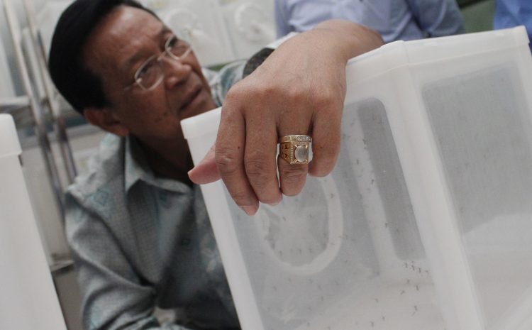  Governor of Yogyakarta volunteered his hands bitten by mosquitoes