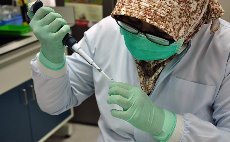  Wolbachia Study to control Dengue shows promise