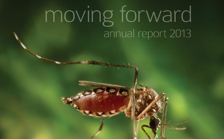  Annual Report 2013