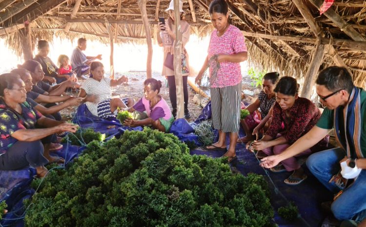  Sustainable Seaweed Farming